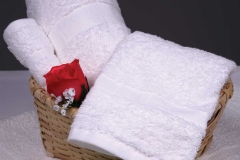 cam-collection-towel-primary