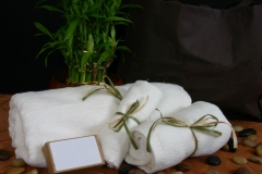 towel-set-white-1297 EE